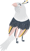 pájaro