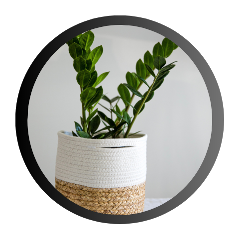 dekopflanzen, künstlichepflanzen ,blumen, home deko 