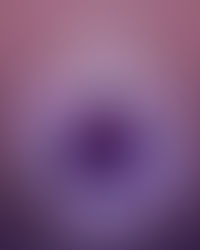 The Soul of a Flower 