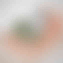 160//casa_alverca_draft