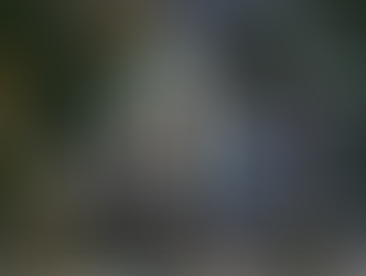 Pierre Papier en Assurance-Vie : SCPI OU SCI ?