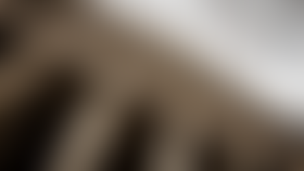 Loi de finances 2023