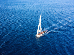 Fréquence opportunité décembre 2022