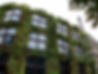 AdobeStock_4130465.jpeg