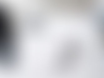 Performance 2020 des fonds euros