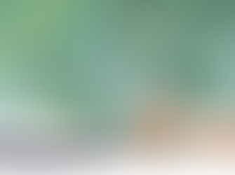 Nouveau calendrier de campagne déclarative et progression de la lutte contre la fraude fiscale 