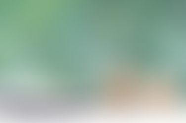 Nouveau calendrier de campagne déclarative et progression de la lutte contre la fraude fiscale 