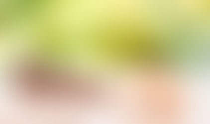 Crédit immobilier : les taux d'intérêt atteignent un niveau historique