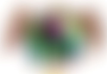 Faut-il privilégier le PEA ou l'assurance-vie ?