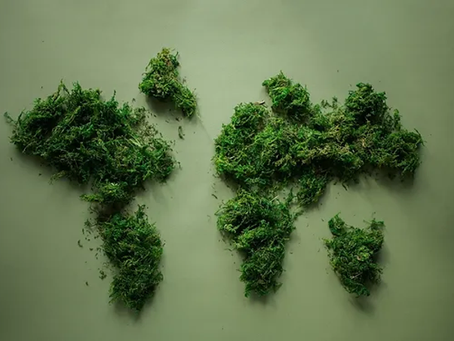 L'investissement Vert, un cadre qui évolue