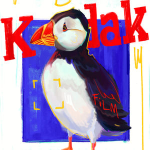 KODAK PUFFIN