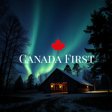 northern lights and an open barn surrounded by trees.jpg