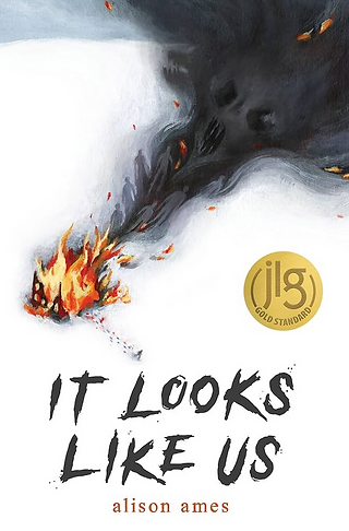 Cover art for It Looks Like Us by Alison Ames.