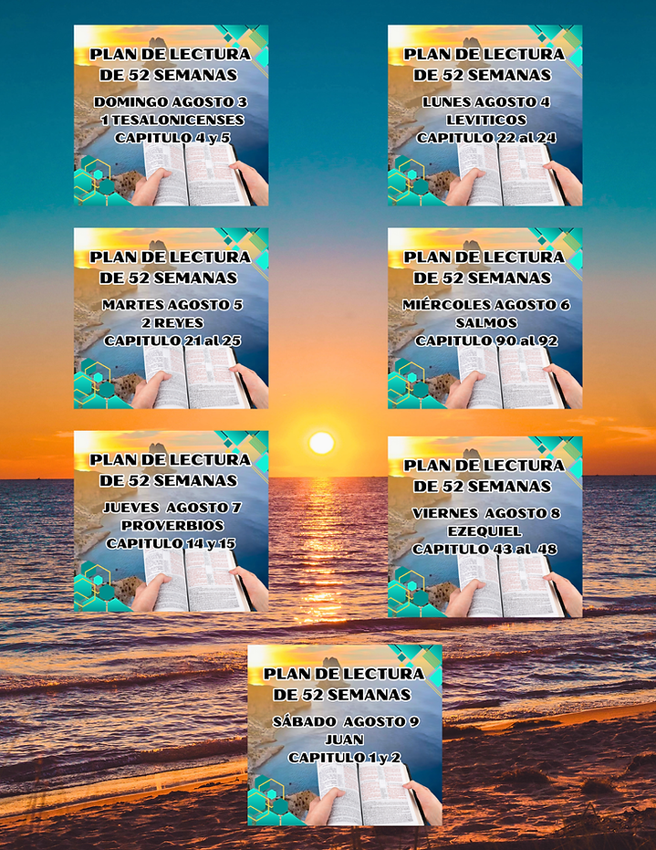 52 semanas de estudio AGOSTO 3 al 9.png