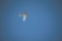Kleines Flugzeug