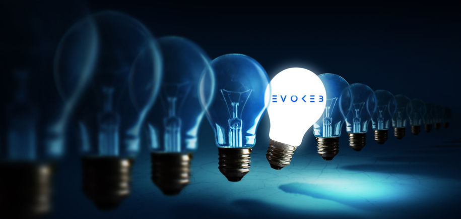 evoke3bulb.jpg