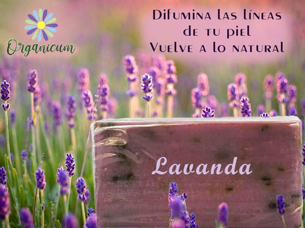 WhatsApp Image 2019-06-05 at 5.56.21 PM.jpeg