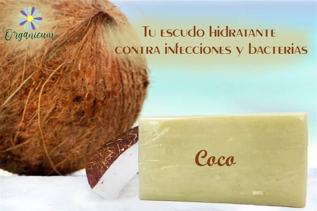 WhatsApp Image 2019-06-05 at 5.50.21 PM (1).jpeg