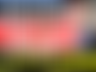 【2025年保存版】注文住宅の外壁で絶対に後悔しないために！おすすめ外壁材4選とプロの選び方