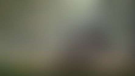 【工務店経営戦略】ファミリー市場の激戦から脱却！シニア向け「小さな平屋」で新市場を開拓しませんか？