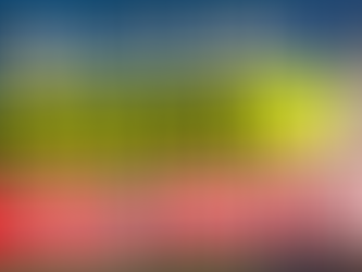 【注文住宅】脱衣所洗面の常識が変わってきている！？今は〇〇畳が当たり前に？