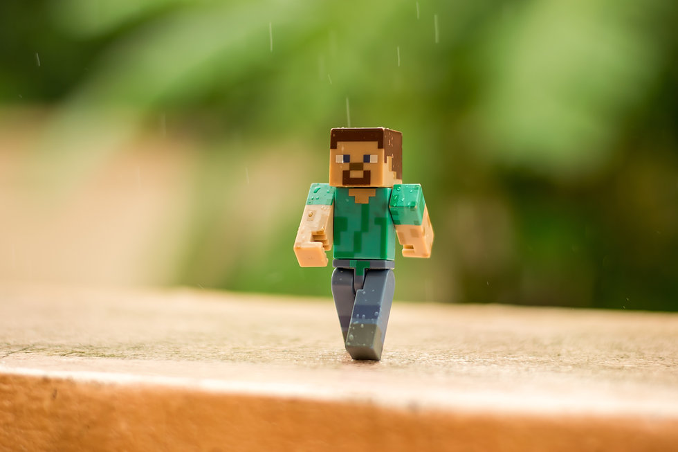 Minecraft Character