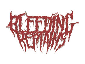 继承衣钵 - 加拿大Death Metal乐队Bleeding Remains专访
