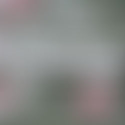 01 de marzo: día de la cero discriminación