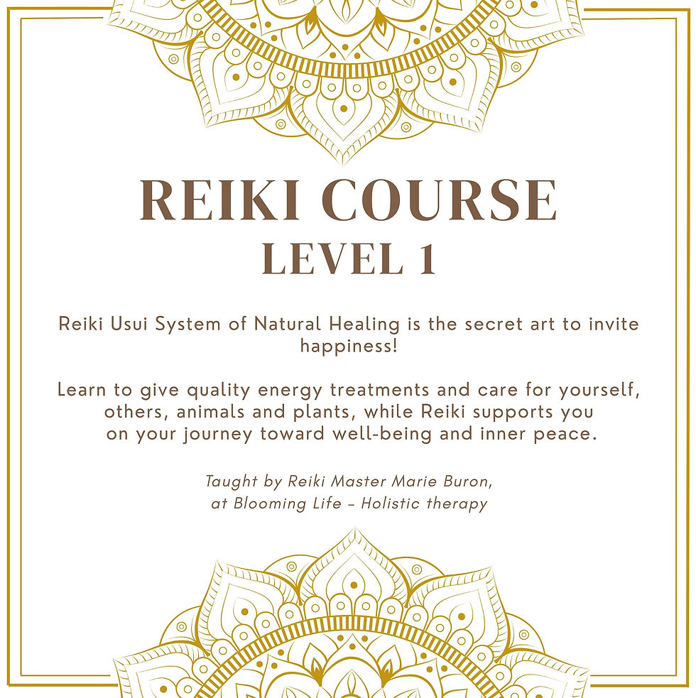Reiki Usui - First Degree