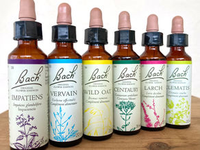What can Bach flower remedies do for you?