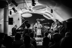 Live at Birdseye - May 2025