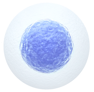 a578c2b1c866afc62d908851ea94e9fe 2.png