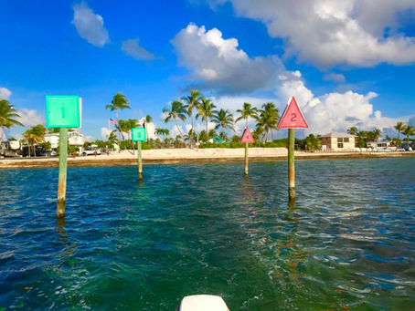 Sea Monkey Ocean Adventure 