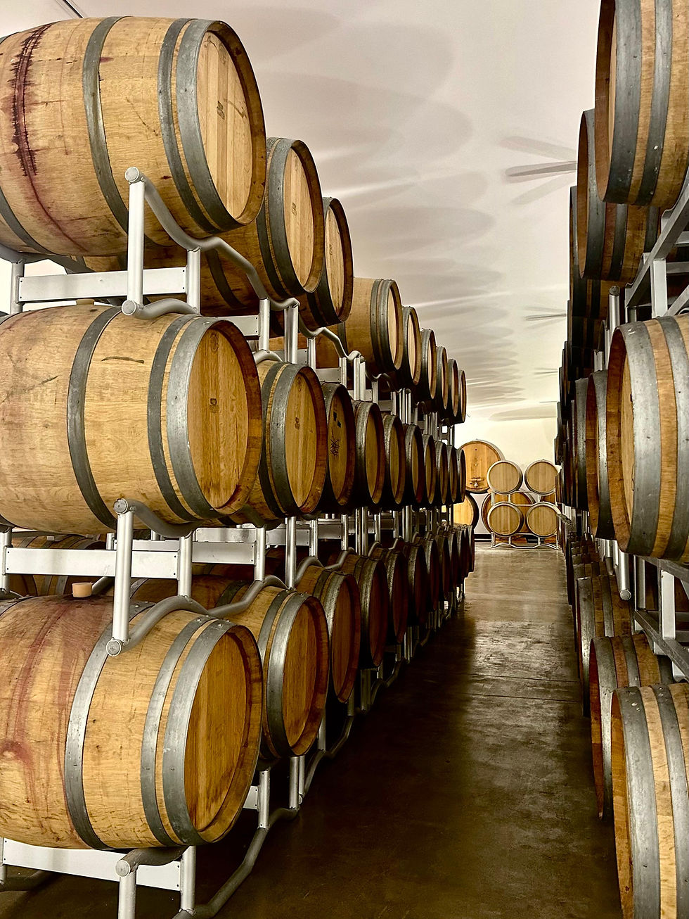 Winzerverkostung: Kruger-Rumpf 