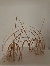 IMG_4324.jpeg