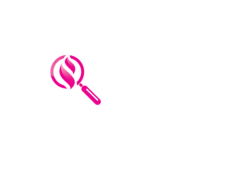Shire Investigations logo