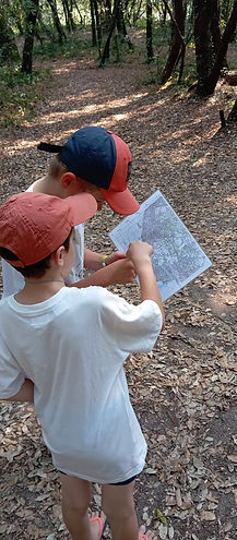 activites-famille-foret