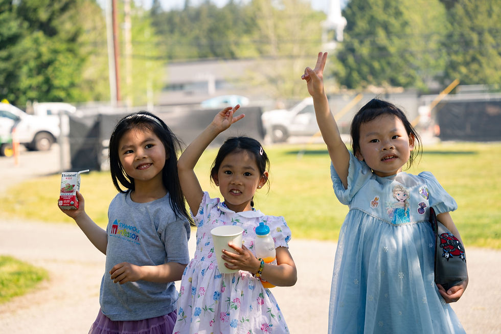 page banner image (7).JPG