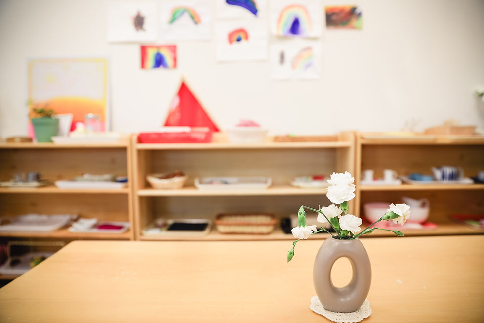 Montessori material shelf