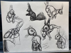 Lesson 5 Animals