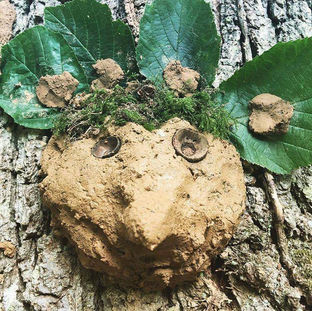 forest school img4.jpg