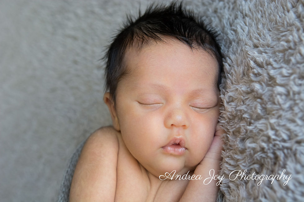 Mandurah Newborn Photographer