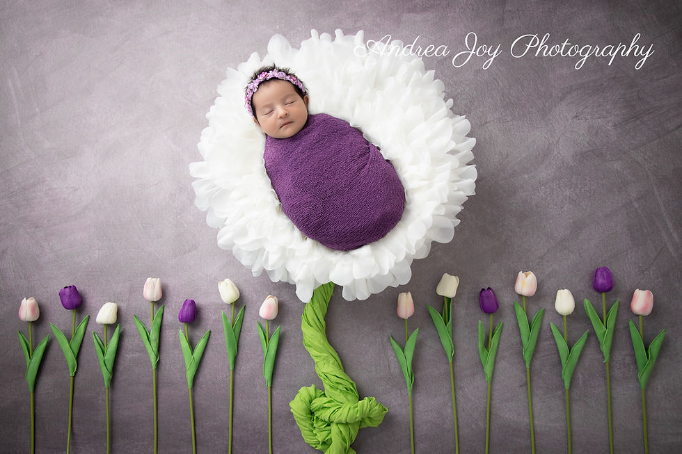 Mandurah Newborn Photographer