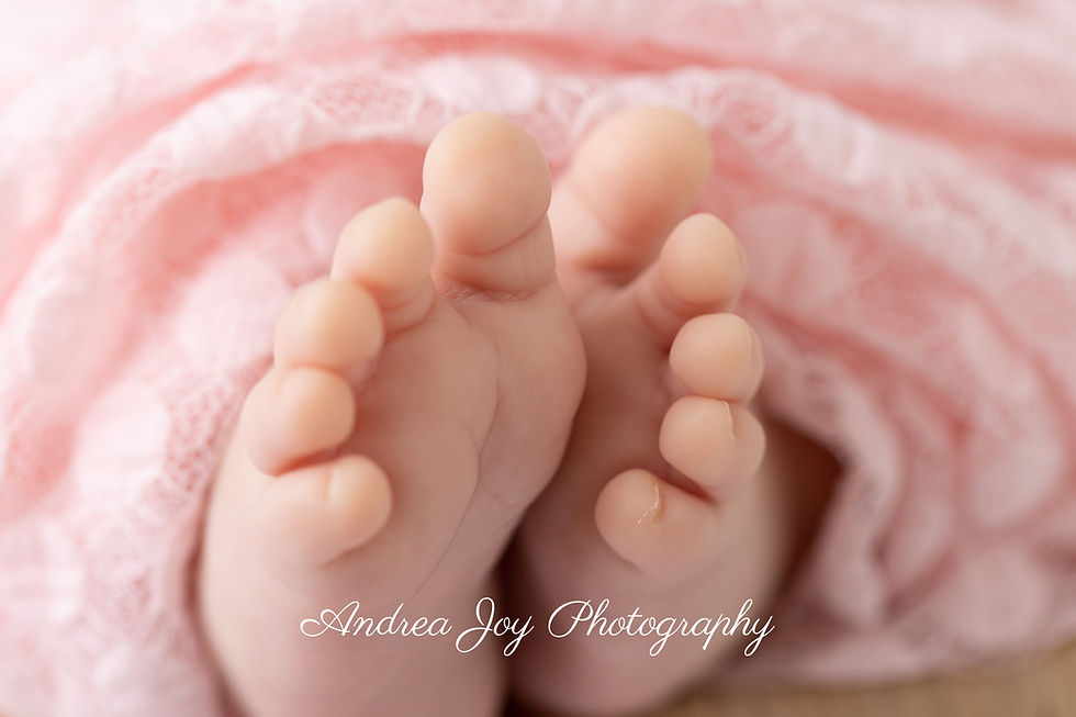 Mandurah Newborn Photographer