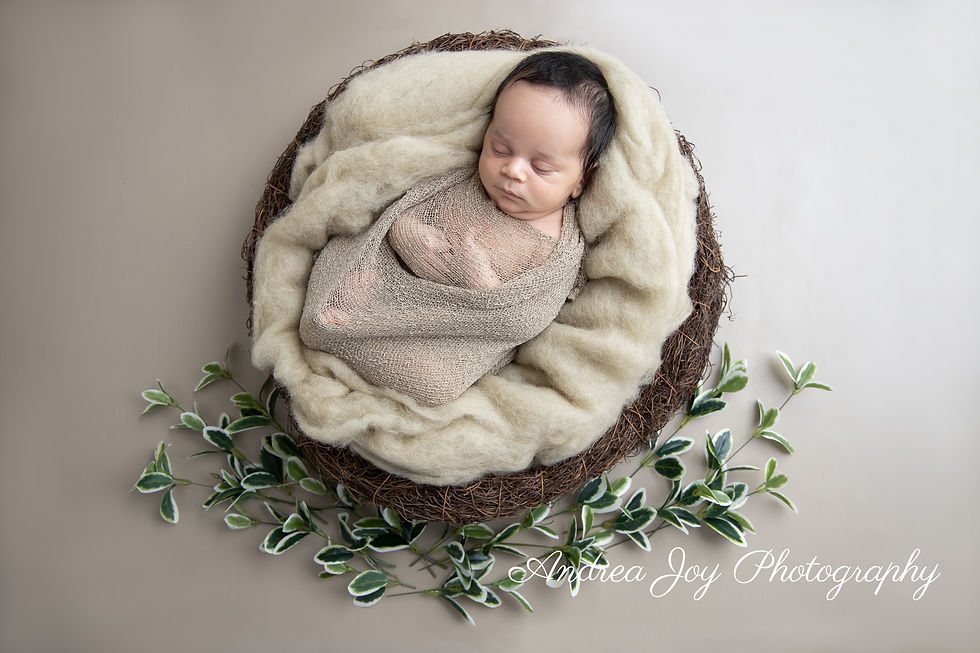 Mandurah Newborn Photographer