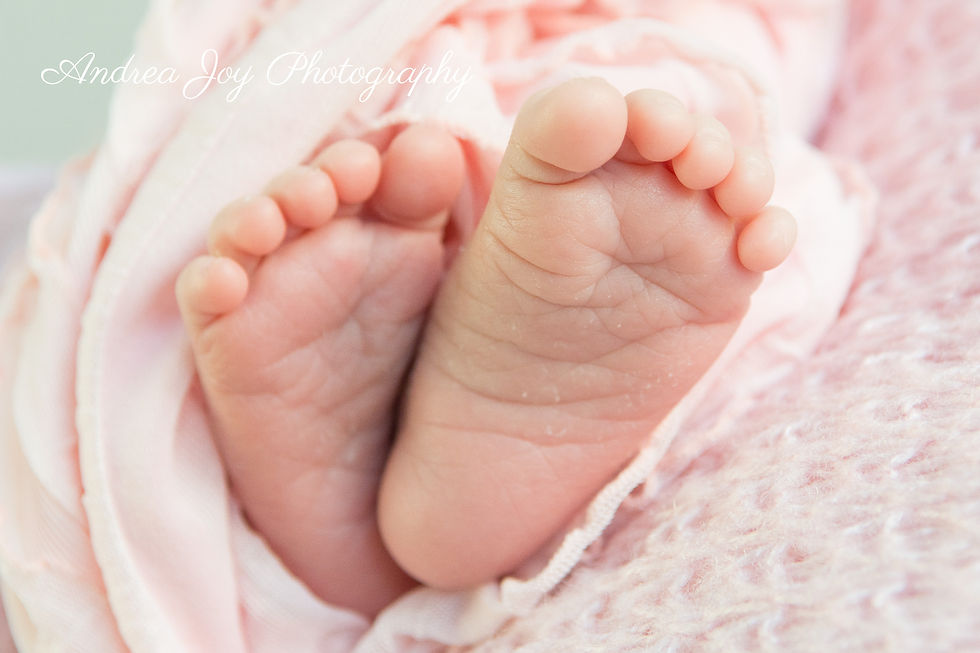Mandurah Newborn Photographer