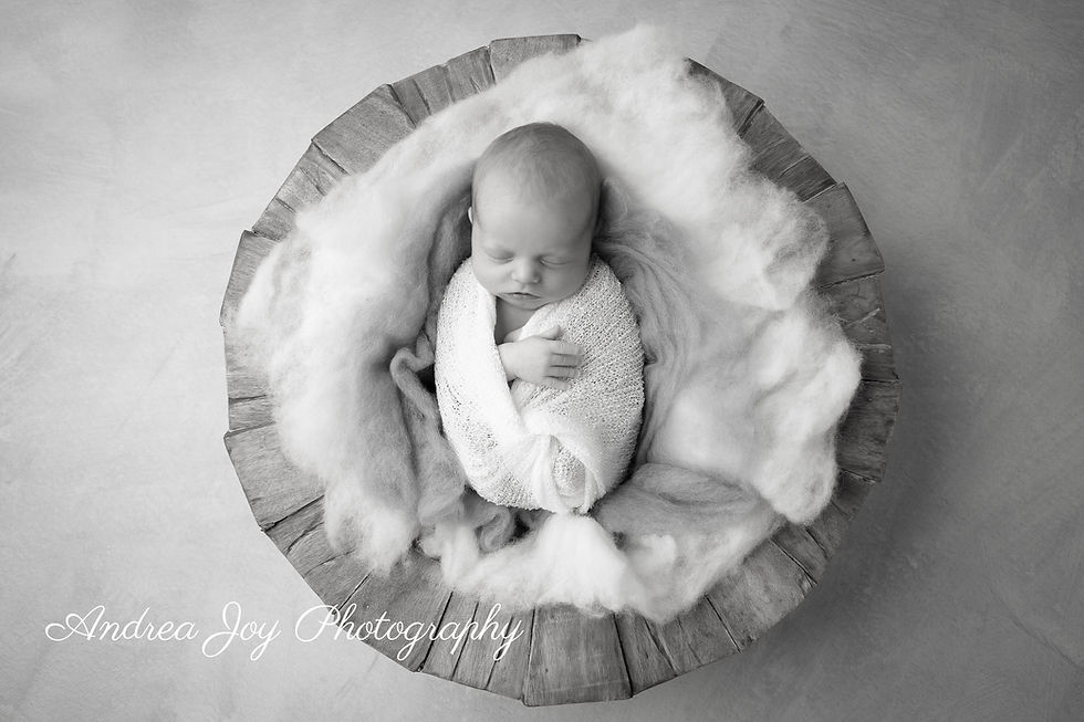 Mandurah Newborn Photographer