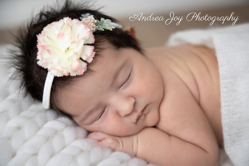 Mandurah Newborn Photographer