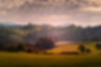 Hügelige Landschaft im warmen Abendlicht der Galerie