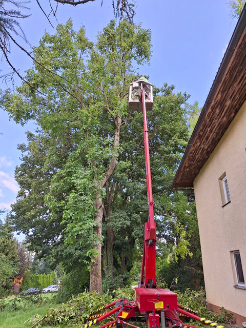 Baumschneiden